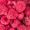 Premium Freeze-Dried Raspberry Powder 100g – 100% Natural & Antioxidant-Rich Freeze-Dried Raspberries 35g
