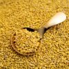 Nature’s Element – Bee Pollen in Spoon Nature’s Element bee pollen granules in golden spoon – organic energy superfood