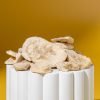 Freeze-Dried Banana Slices | Natures Element (Close-Up) Close-up texture of freeze-dried banana slices – Natures Element