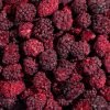 Freeze-Dried Blackberries (Whole) | Natures Element (Close View) Whole freeze-dried blackberries on pedestal – Natures Element