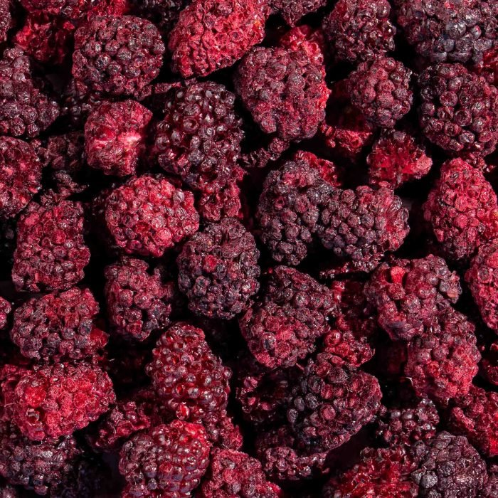 Freeze-Dried Blackberries (Whole) | Natures Element (Close View) Whole freeze-dried blackberries on pedestal – Natures Element