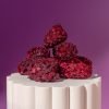 Freeze-Dried Blackberries (Whole) | Natures Element (Front Close-Up) Close-up of whole freeze-dried blackberries – Natures Element