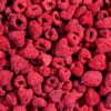 Freeze-Dried Raspberries | Natures Element (Close View) Freeze-dried raspberries texture – Natures Element