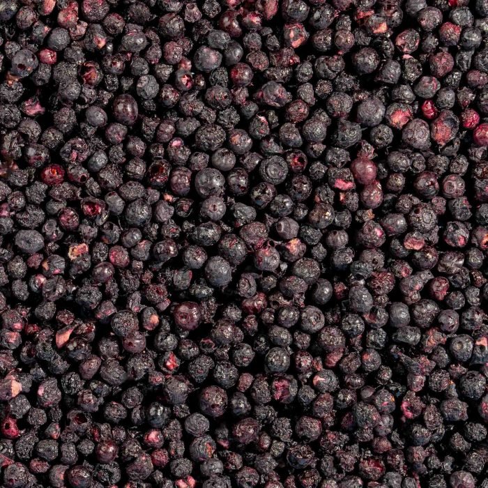 Freeze-Dried Wild Blueberries (Whole) | Natures Element (Close View) Freeze-dried wild blueberries on display – Natures Element