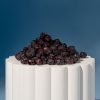 Freeze-Dried Wild Blueberries (Whole) | Natures Element (Close-Up) Close-up of freeze-dried wild blueberries – Natures Element