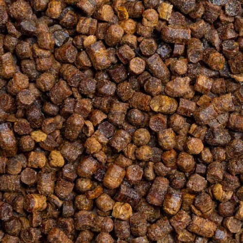 Close-up of Nature’s Element bee bread granules – natural fermented pollen product